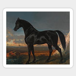 Cheval Noir Au Palmier by Alfred de Dreux Sticker